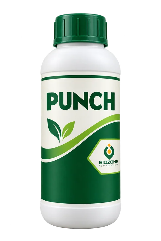 Punch — illustrative pack, not actual packaging