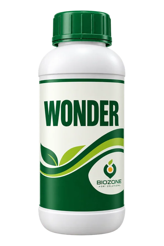 Wonder — illustrative pack, not actual packaging