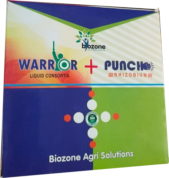 Worrior + Punch — supplied product image